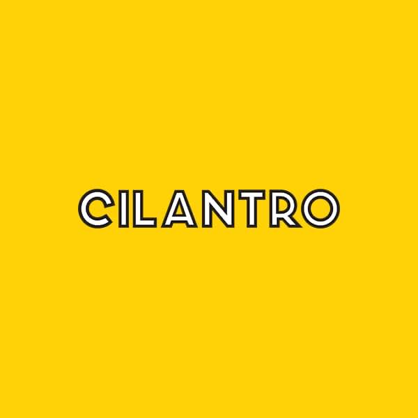 Cilantro Cafe