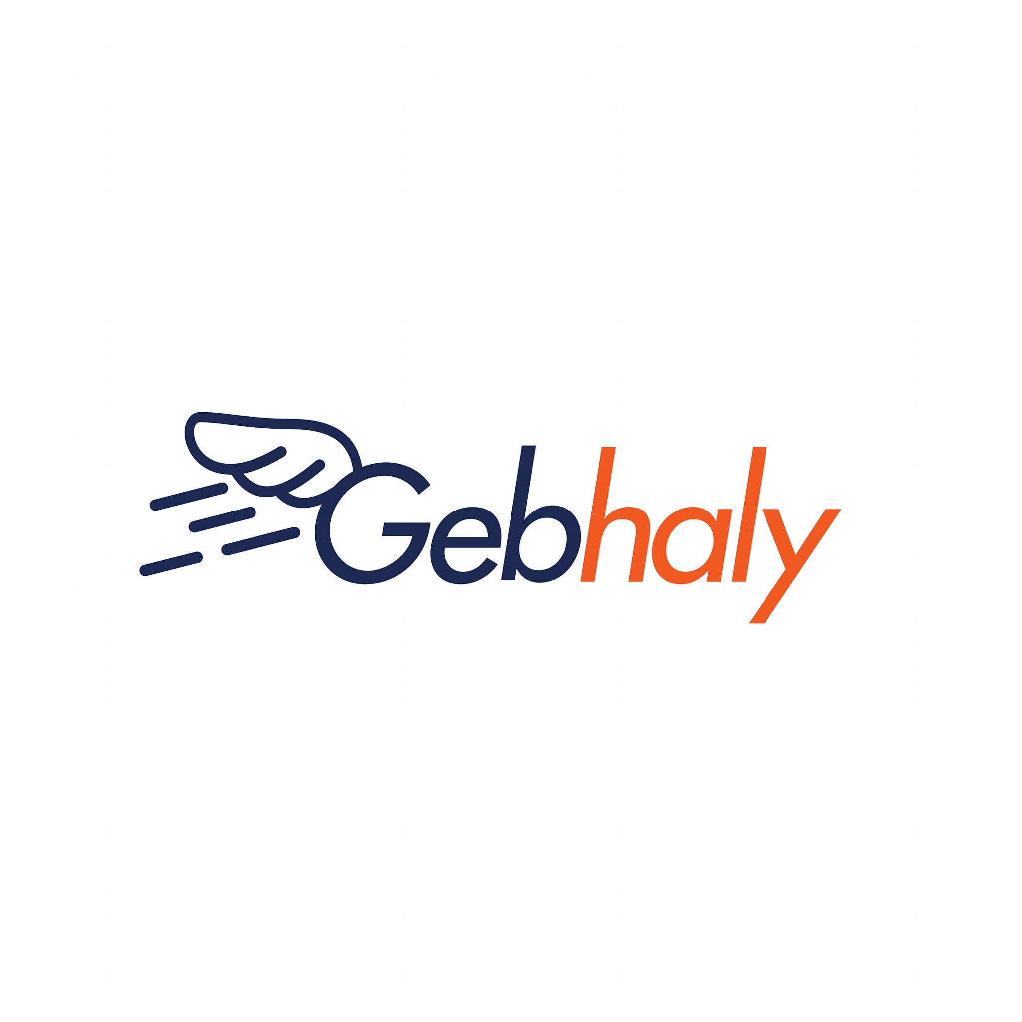 Gebhaly.com