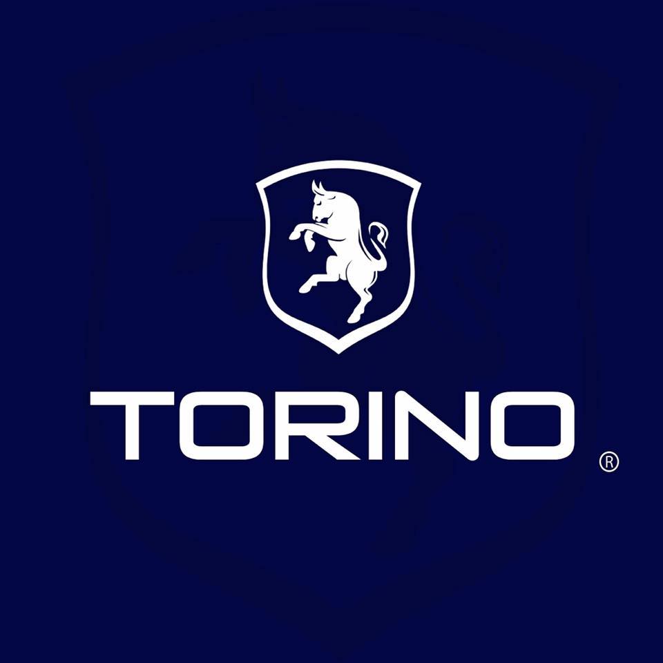 تورينو Torino